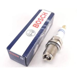 bosch1