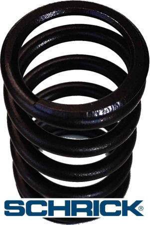 SCHRICK пружина клапанная